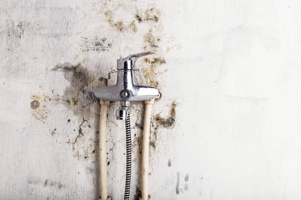 Best Mold Inspection  in Inkerman, PA
