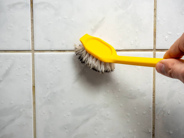 Best Fast Mold Removal  in Inkerman, PA