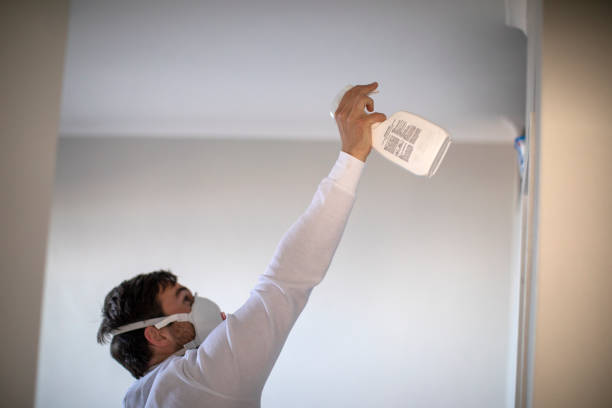 Best Office Mold Removal Services  in Inkerman, PA
