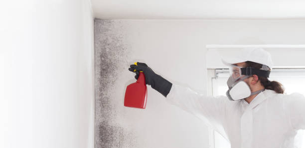 Best Residential Mold Removal  in Inkerman, PA